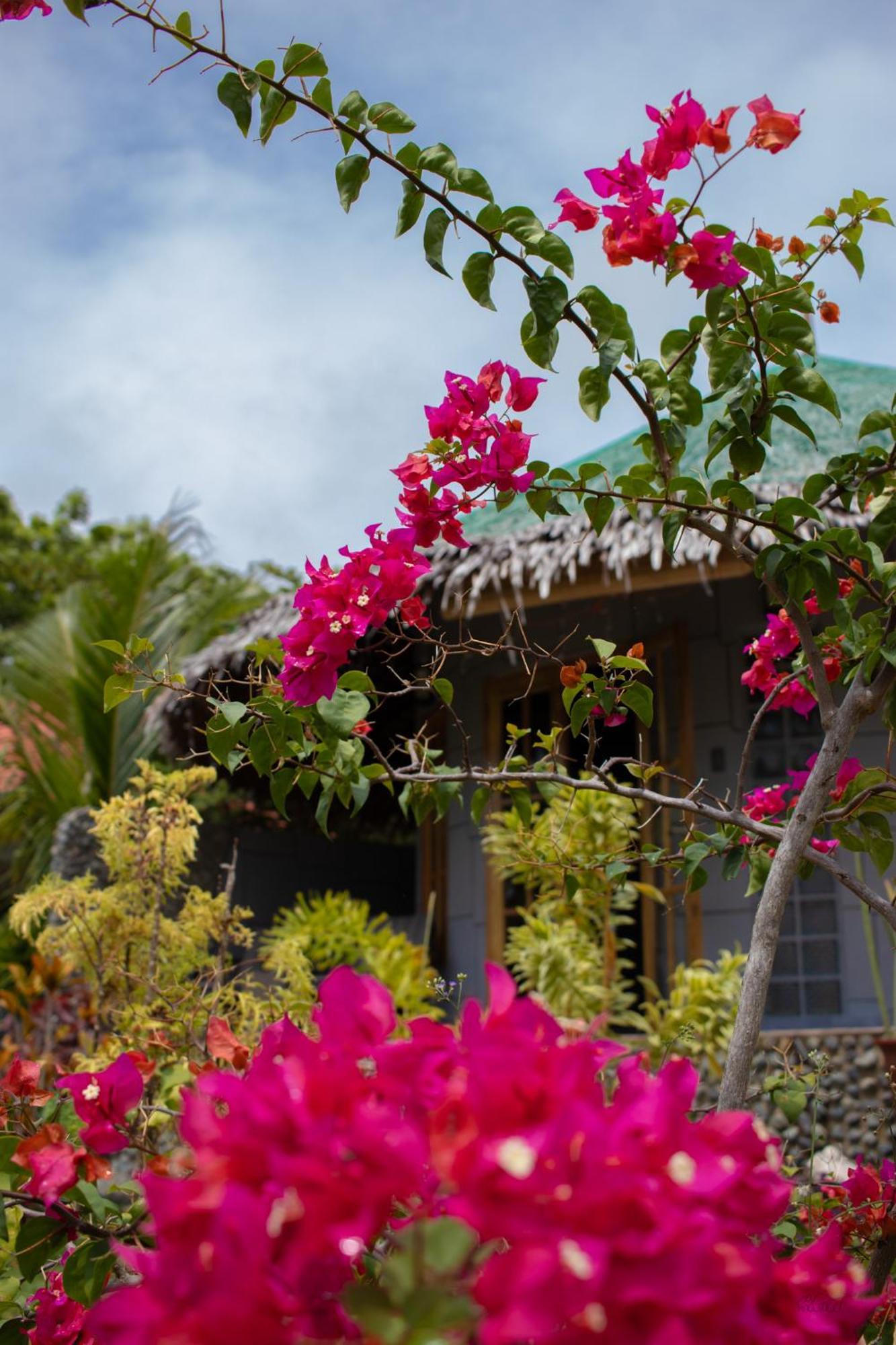 Rhenmart-Inn Siquijor Zewnętrze zdjęcie